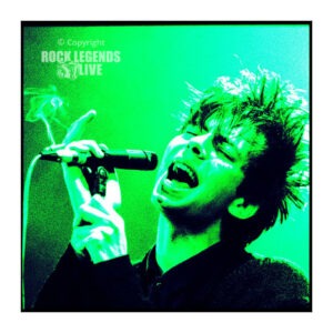 rll rock pimp square echo bunnymen